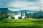 Nuwara Eliya - La pequeña Inglaterra de Sri Lanka 