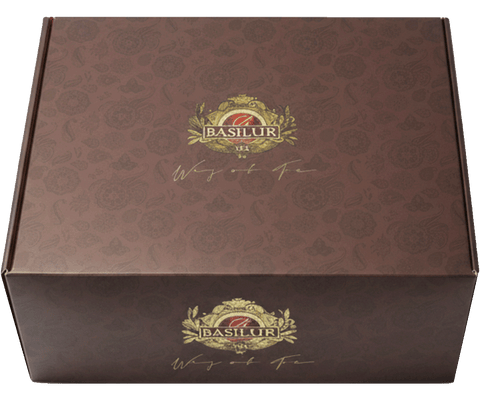 Gift Box Basilur "Winter Fruit Village" – Colección de 6 Infusiones Frutales